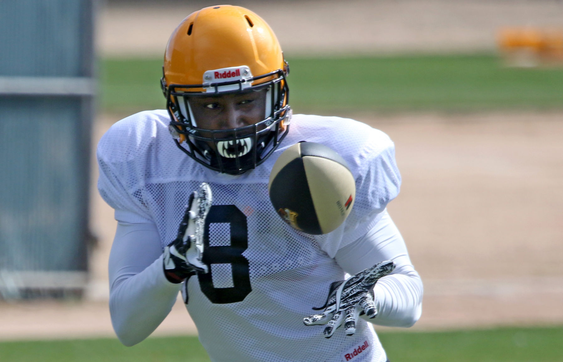 Sugar Skulls Football